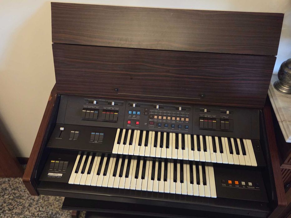Órgão Bontenpi 2 teclados e banco
