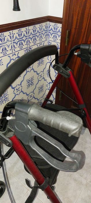 Andarilho Novo com rodas