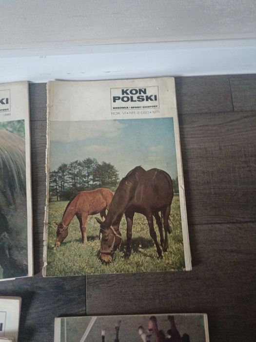 Czasopisma koń Polski