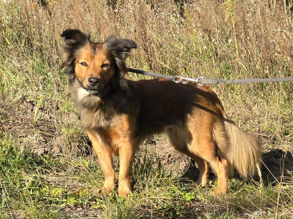 Gigi- prawdziwa piękność.