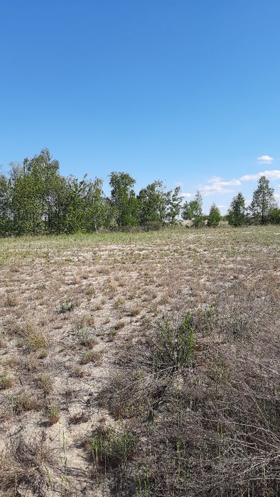 Продам земельну ділянку з виходом на Дніпро