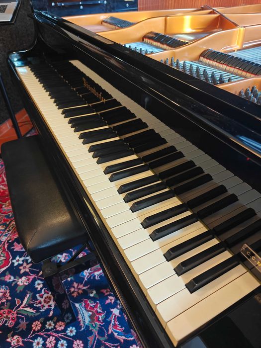 Piano de cauda Bösendorfer 200 rigorosamente impecável