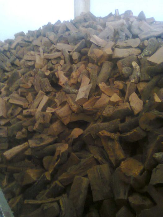 jose,,bitoque-lenhas,carvao,terra,jardim