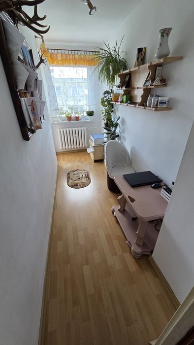 Przetulne, odświeżone 2 pokoje (35 m²) z balkonem – Gotowe do zamieszkania lub z nie wielkim wkładem pod siebie.