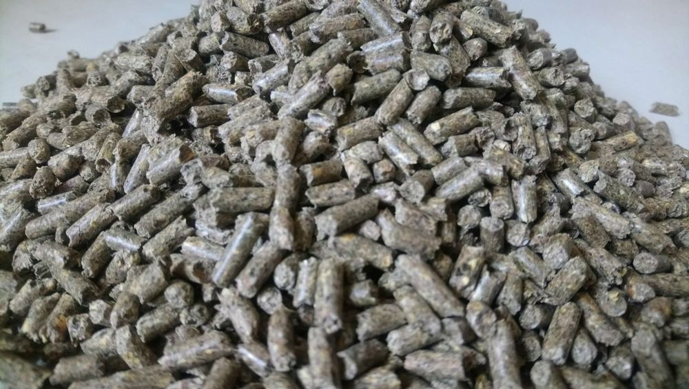 Корм в гранулах для шиншил