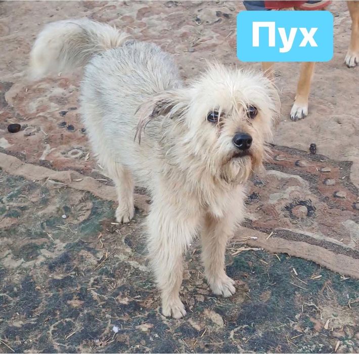 Хлопчик шука дім. Вік 11 місяців