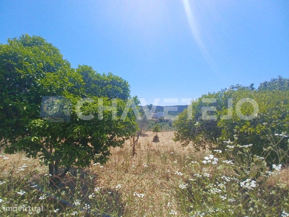 Terreno com 800 m2 perto da albufeira do Castelo do Bode.