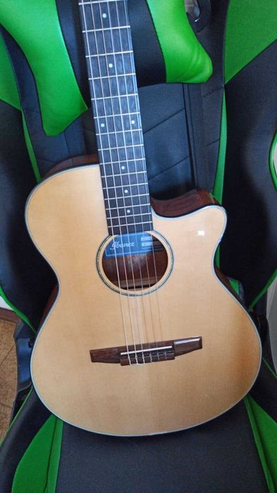 Ibanez Model: AEG50N-NT