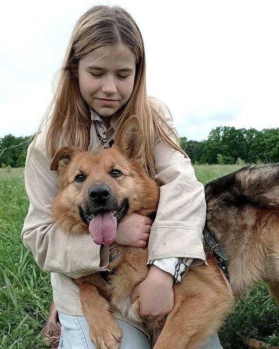 Кінолог, зоопсихолог, перетримка, дресирування собак, вигул