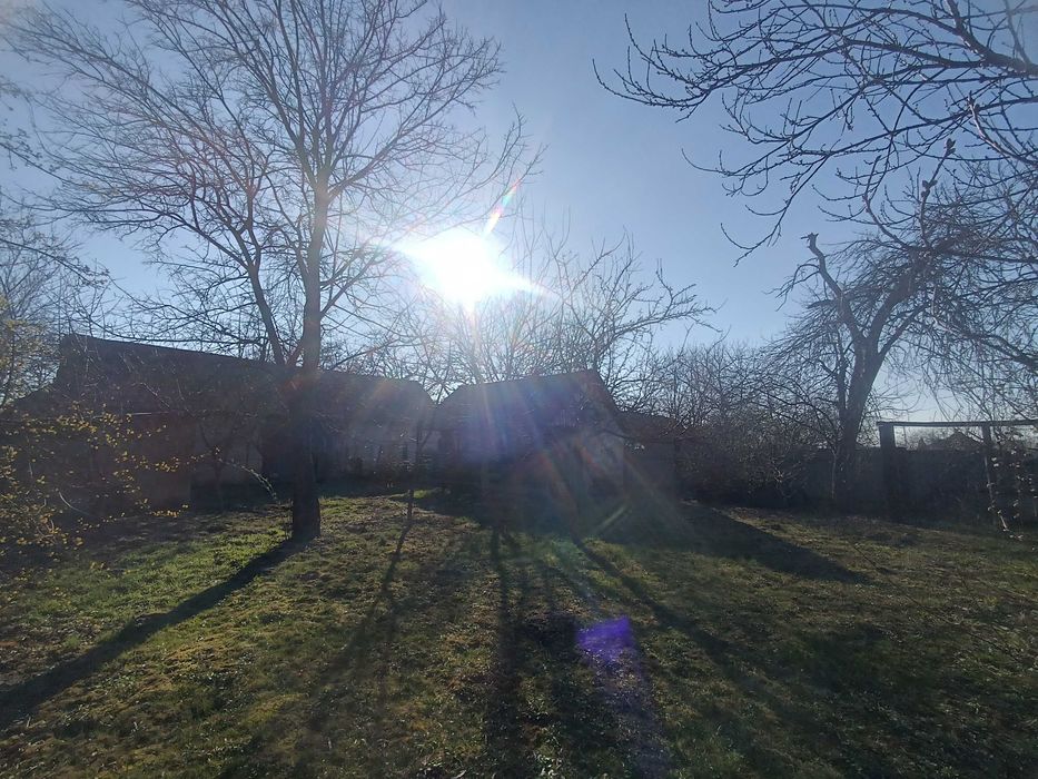 Велике БУДИНКОВОЛОДІННЯ у с. Балажер 7км до Берегова, ділянка 16 соток