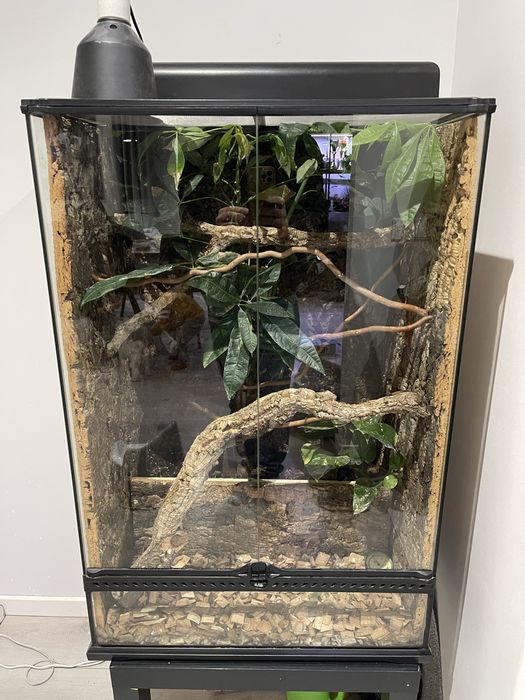 Terrarium Exo Terra 60x45x90 Wysokie Oświetlenie