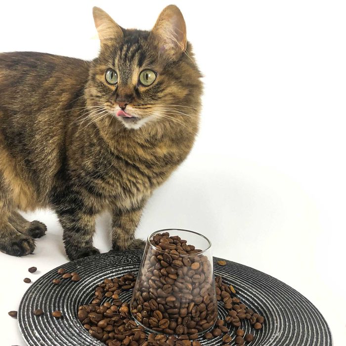 ВКУСНЕЙШНАЯ экзотика! Кофе в зернах 100 % Арабика Мексика Chiapas 1кг