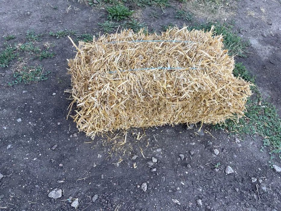 Тюки з гороху та люцерні