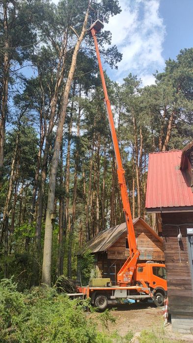 Wycinka drzew, usługi podnośnikiem koszowym 21m zwyżka