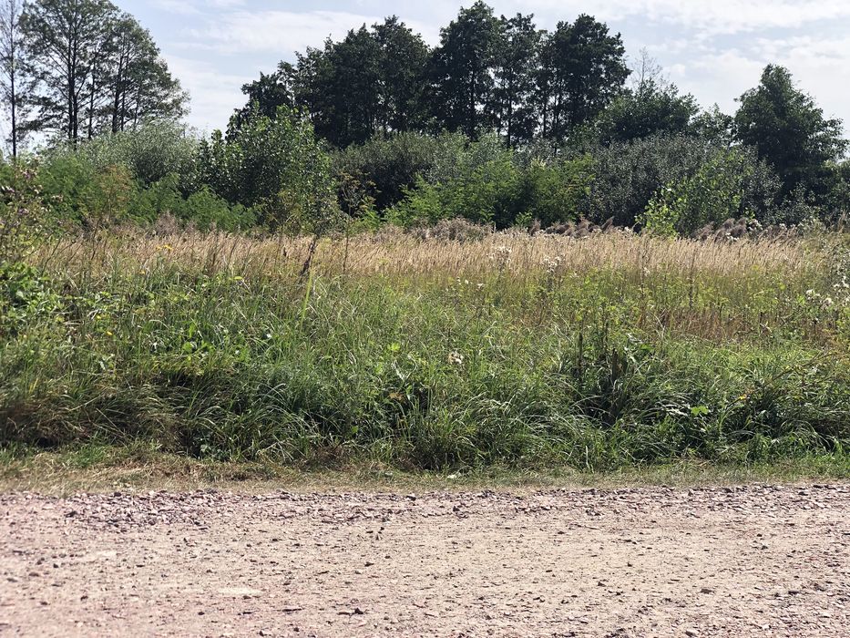 Пр зем 20с Зазимье село свет газ соседи интер природа соседи идеальный