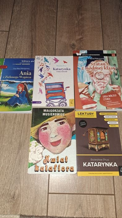 Sprzedam lektury do klasy 6