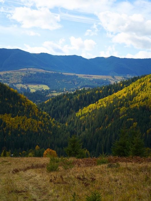 Земля в Карпатах з видом на Чорногірський хребет