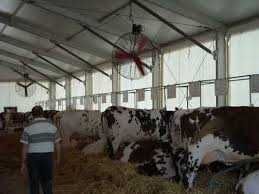 Wentylator oborowy Multifan - mieszacz powietrza koszowy