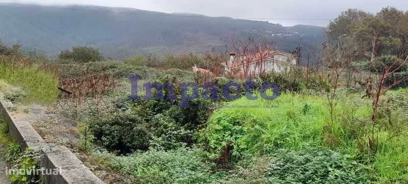 Terreno rústico em Palmaz, Oliveira de Azeméis