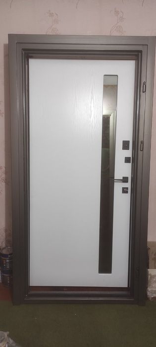 Двері миталеві зі склом