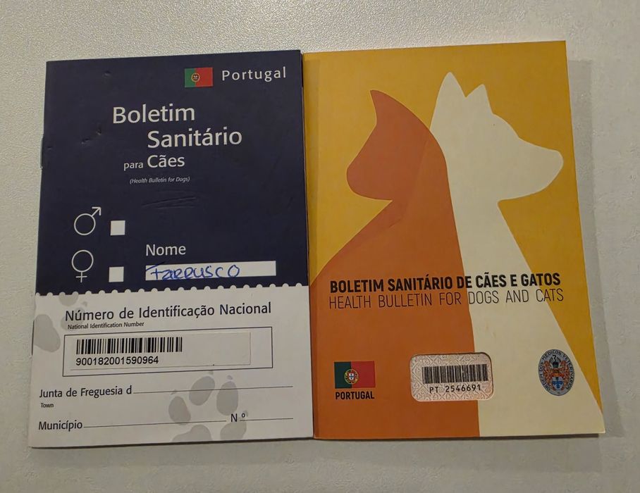 Adoção gratuita e responsável – marco de canaveses