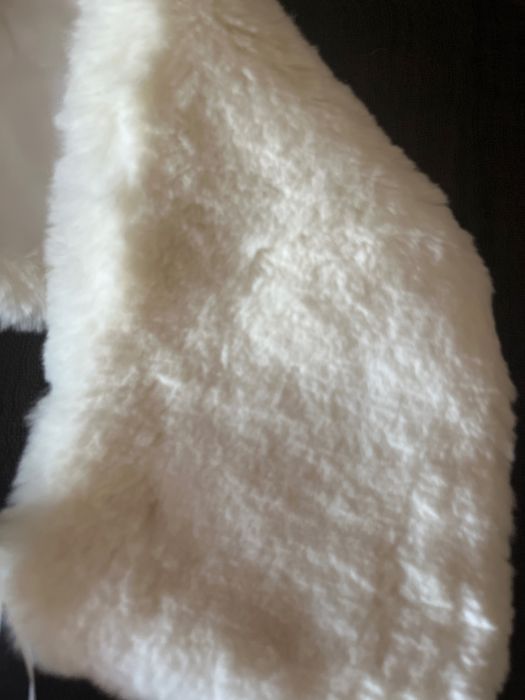 Kolnierzyk krolik