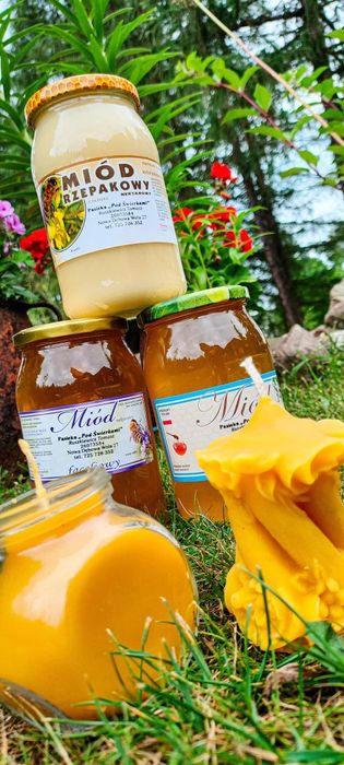Naturalny miód z własnej pasieki