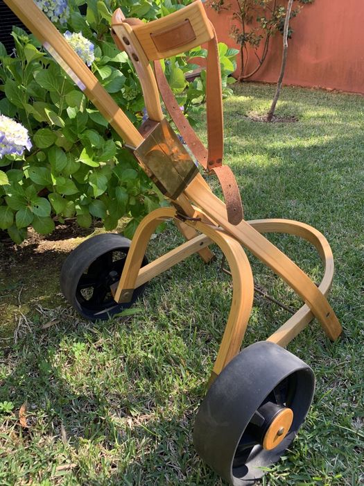 Carro de Golfe ~ Vintage.64873973526913124