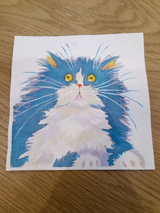 Малюнок, рисунок кота.