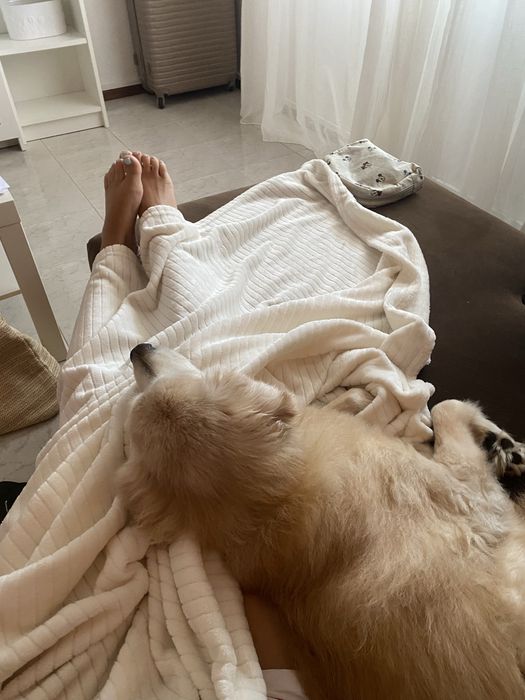 Petsitting 16€ - 24h