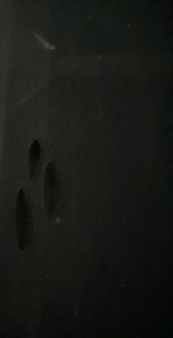 Sofá cama 3 lugares