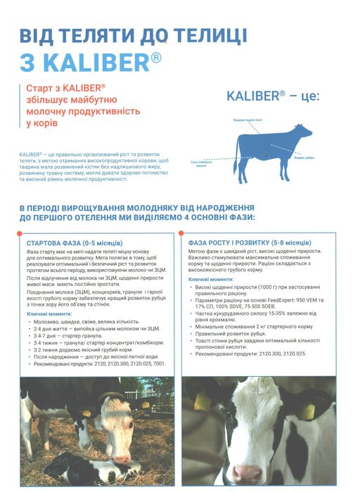 Концентрат для відгодівлі ВРХ 30% (від 100кг) 25кг Коудайс 2520.300