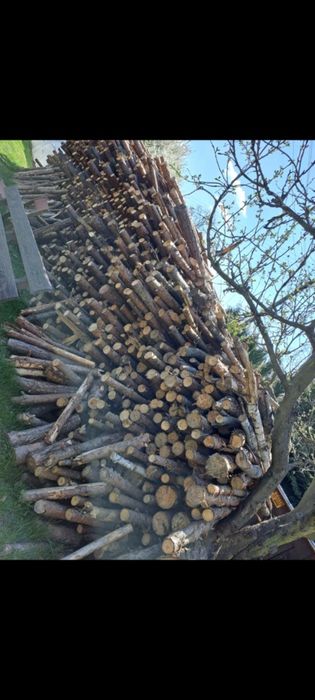 Sprzedam drewno opałowe/kominkowe Okazja!
