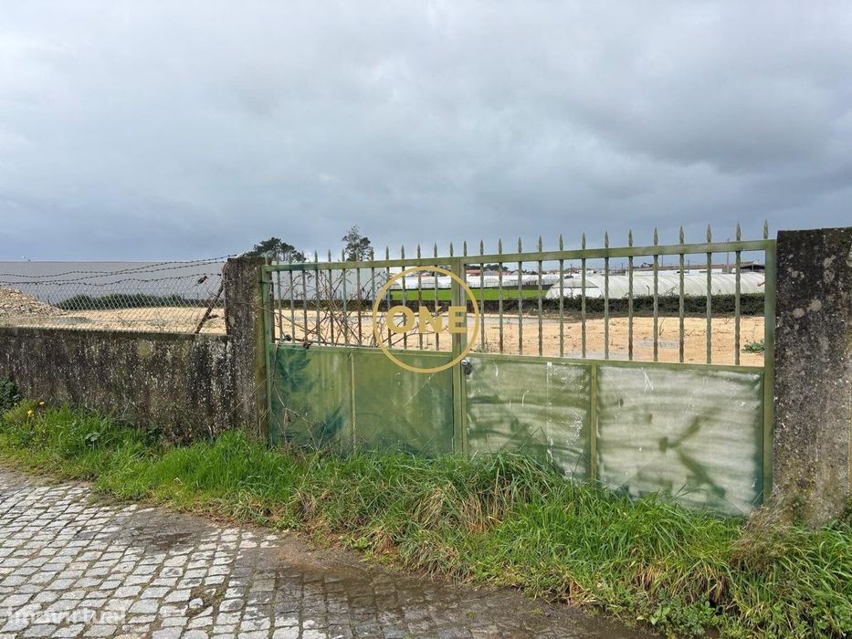 Terreno na Estela para Arrendamento