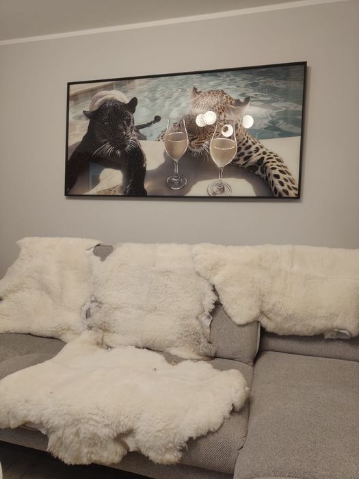 Owcze skóry sprzedam