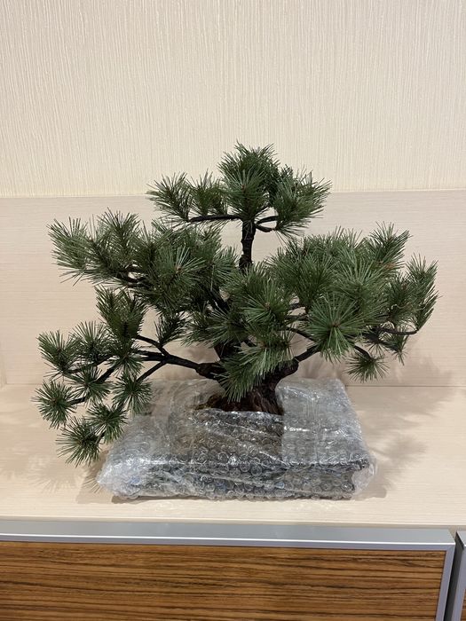 Ялинка  штучна сосна бонсай