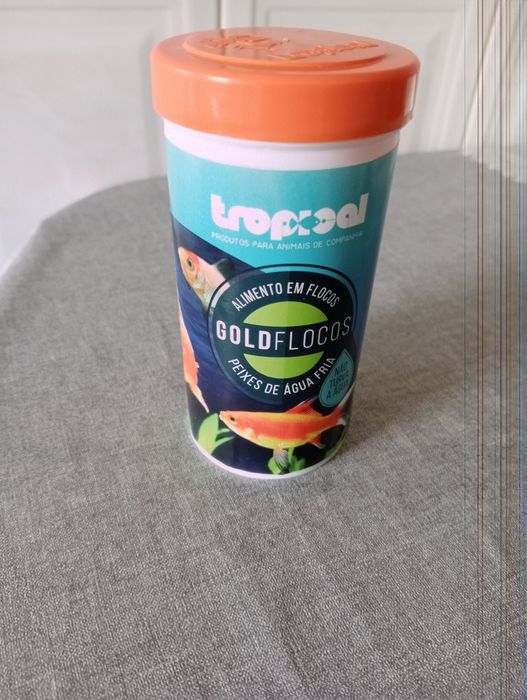 2 peixes Cometa + Acessórios