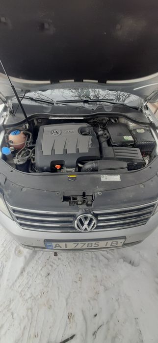 Маю гарного   Пасата   б 7