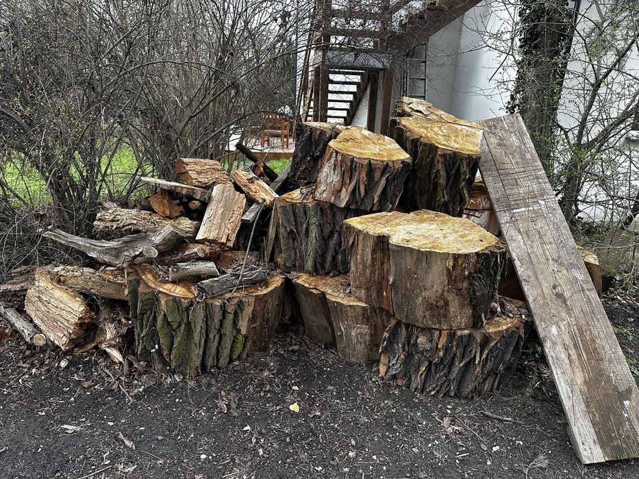 Oddam drewno w zamian zamusujuwvie galezu i posprzatanie