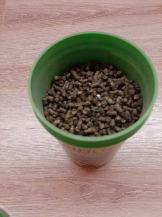 Karma dla żółwia lądowego 1l