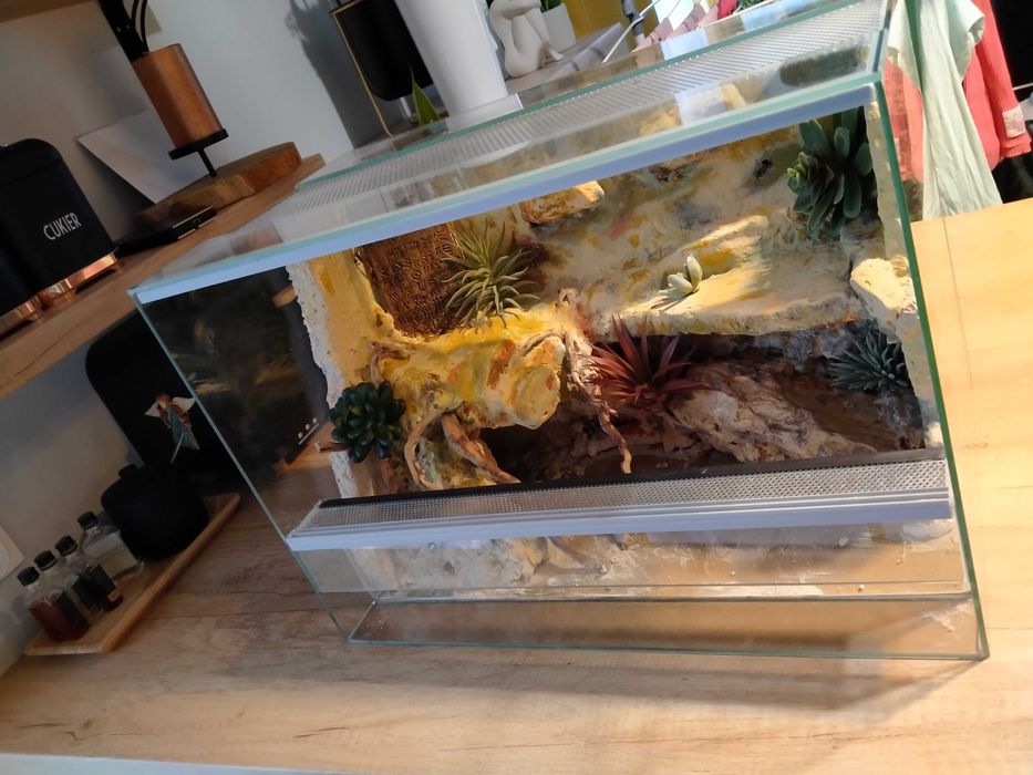 Terrarium dla gekona