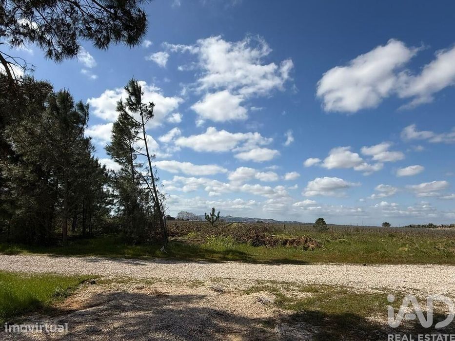 Terreno Agrícola em Palmela