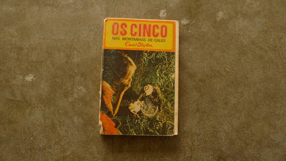 "Os Cinco: Nas Montanhas de Gales"