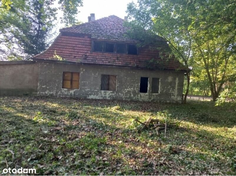 Zdjęcie 7
