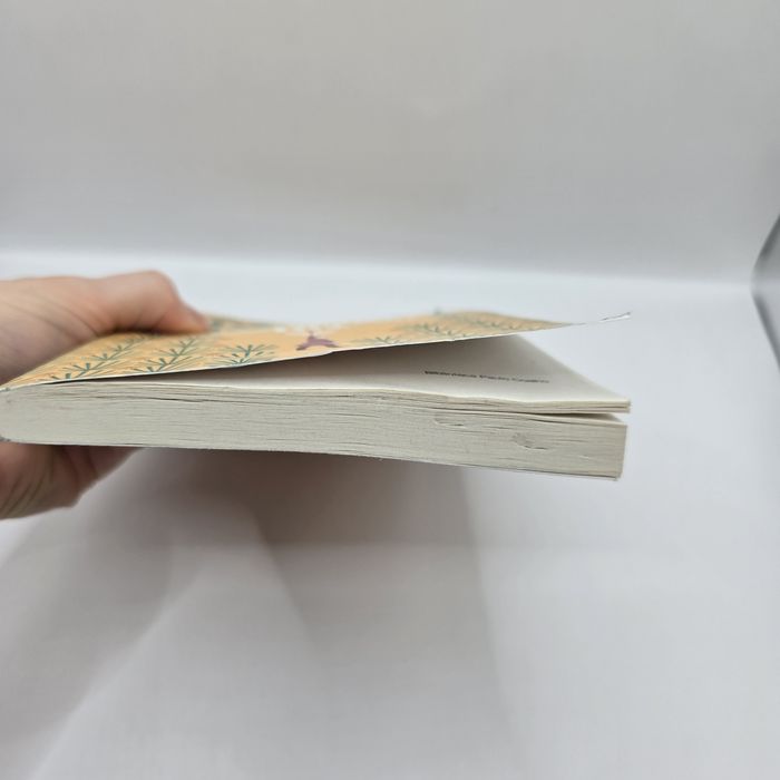 Paulo Coelho – Manual del guerrero de la luz książka po hiszpańsku