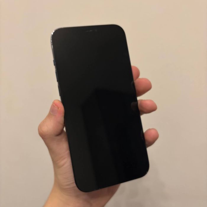 Iphone 12 pro max 256 gb