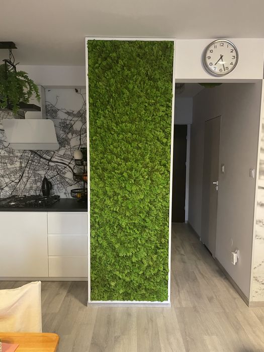 Ścianka z mchu obraz z mchu