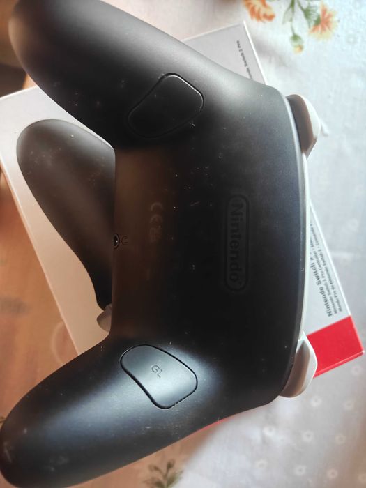 Switch 2 pro controller