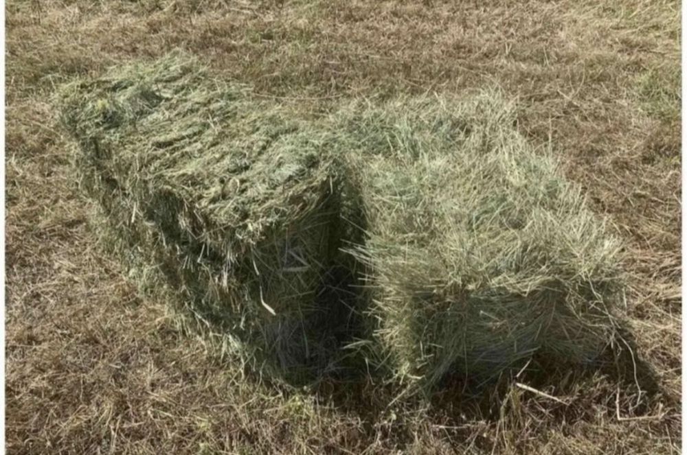 Тюки сіна 2025 , свіже