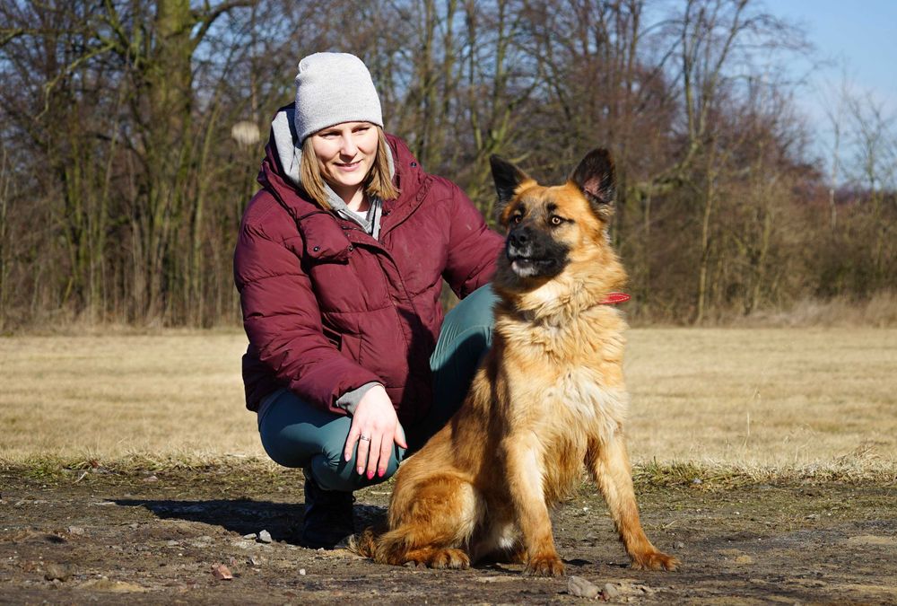BELLO  - przepiękny, młody pies